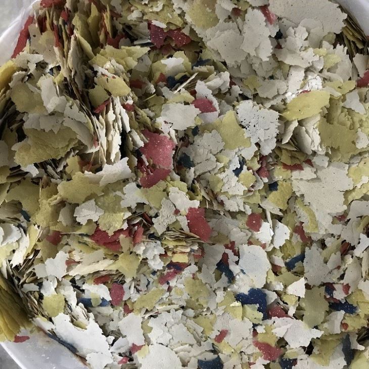 Pond Fish Flakes Pond Fish Flakes